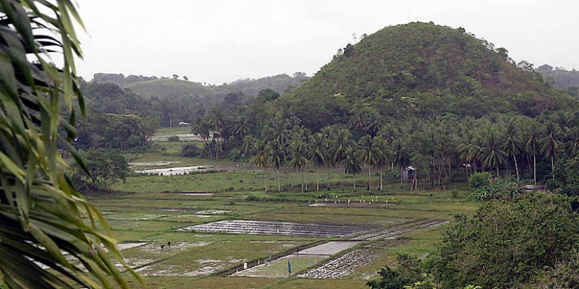 Chocolate Hills of Bohol Island Chocolate Hills of Bohol Island