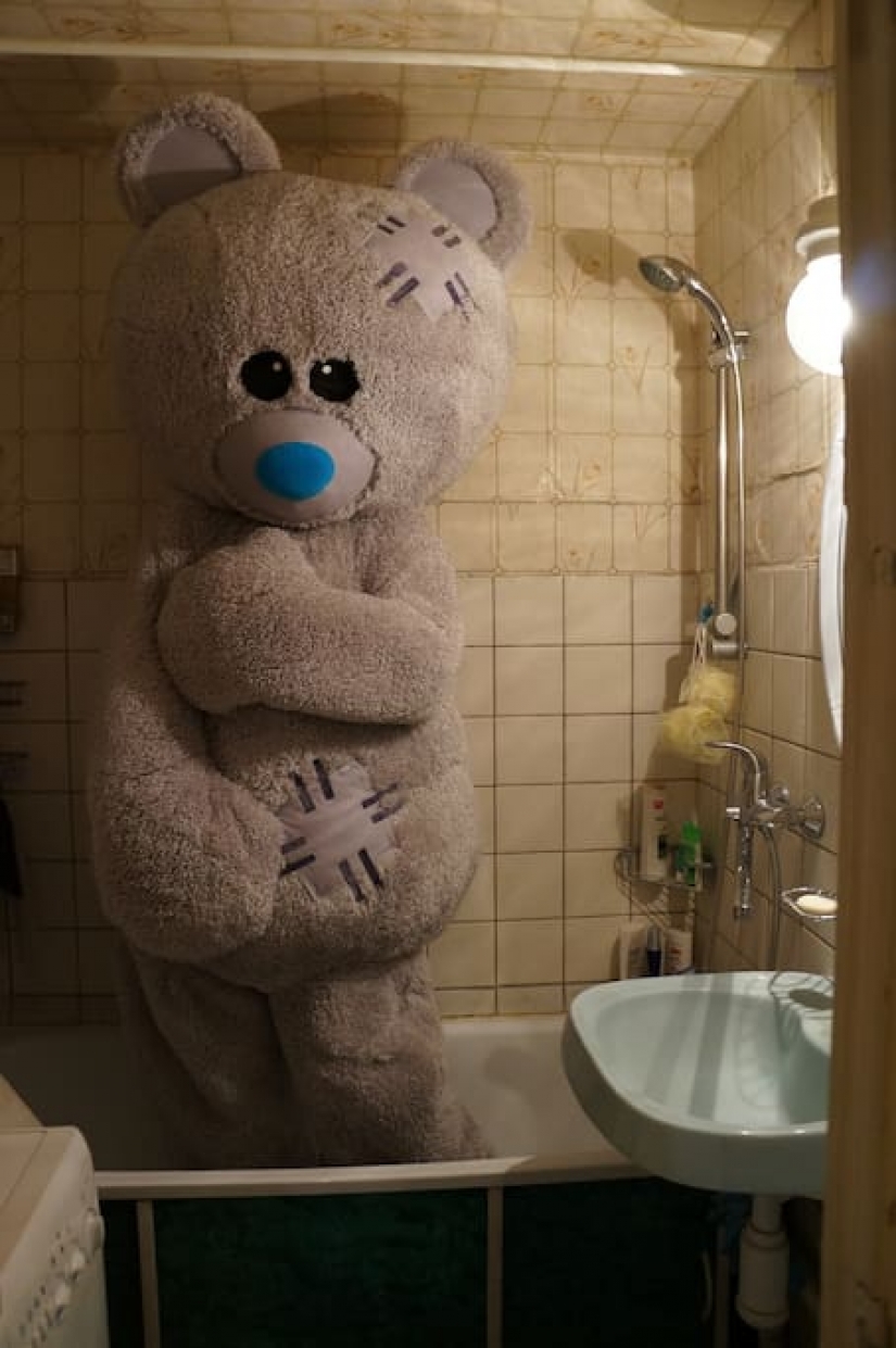 Cómo alquilar un apartamento con alma y una vuelta de tuerca: el oso den presentará