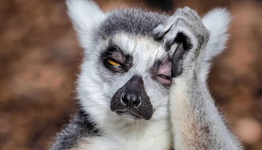 Cómo dejar de señalar y empezar a vivir: una breve guía a la salida de las vacaciones de Navidad