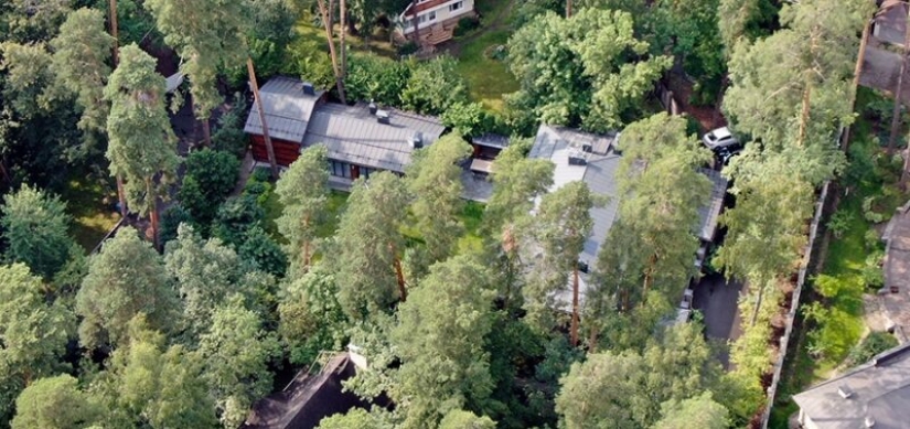 Cómo está el" nuevo ruso " Steven Seagal en Rusia: un actor, un santo budista y una tormenta de pollos Cómo está el" nuevo ruso " Steven Seagal en Rusia: un actor, un santo budista y una tormenta de pollos