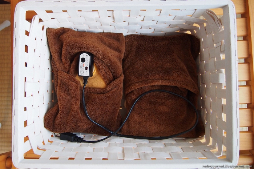 Cómo funciona una casa tradicional japonesa