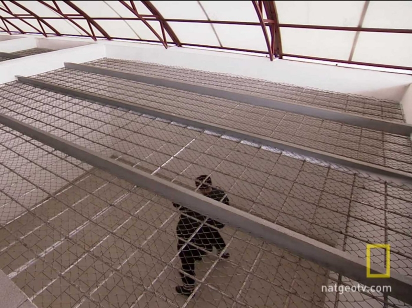 Cómo funciona una de las prisiones más duras de Rusia, el Delfín Negro