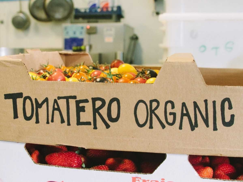 Cómo Google Alimenta a Sus Empleados con Comida Gratis con un Café sobre Ruedas Cómo Google Alimenta a Sus Empleados con Comida Gratis con un Café sobre Ruedas