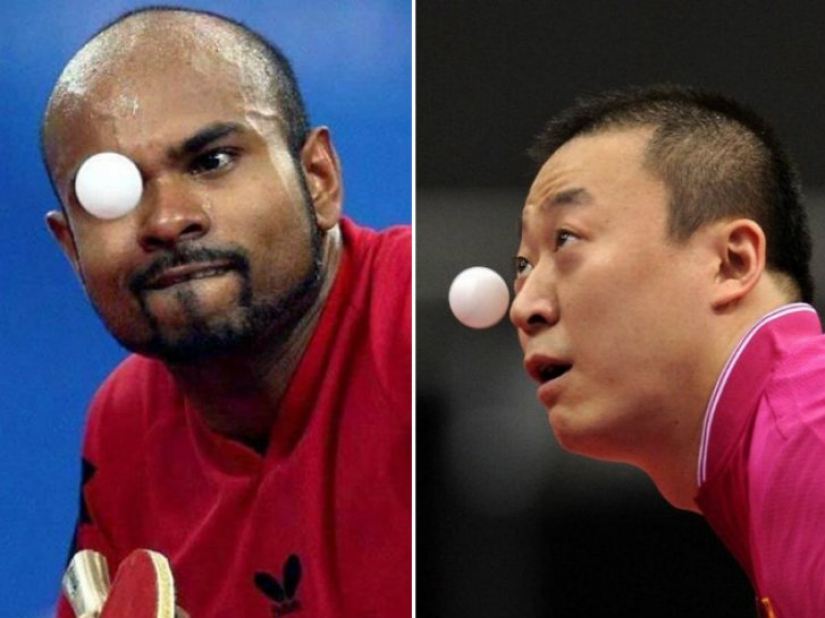 Cómo Los Jugadores de Ping Pong Se Convierten en Ruedas de bolas de Plástico