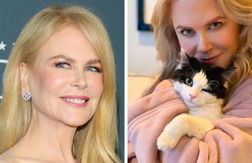 Cómo lucen 15 celebridades en fotos profesionales y domésticas sin filtros