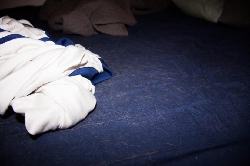 Cómo lucir como un apartamento de soltero en diferentes países del mundo