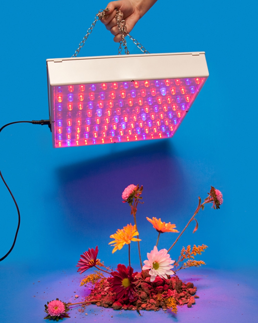 Cómo se hace: El fotógrafo se burla de instrucciones tontas