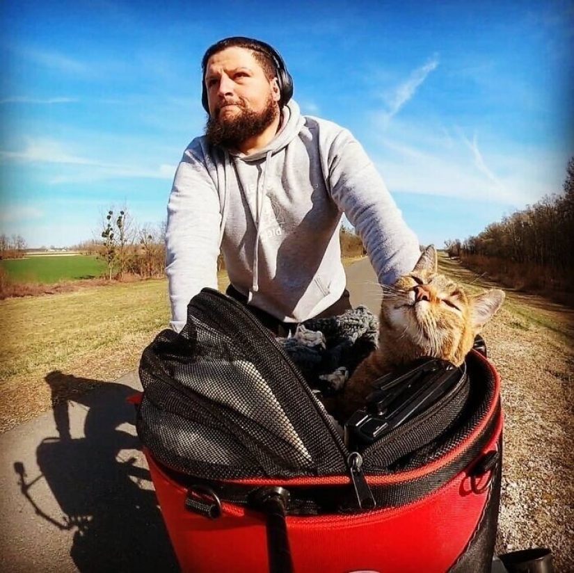 Cómo un gato y su hombre circunnavegan el mundo en una bicicleta