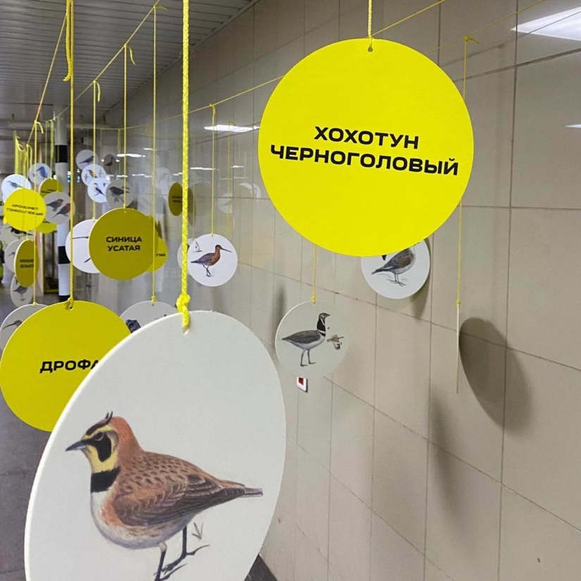 ¿Cómo utilizan los residentes de Omsk su única estación de metro?