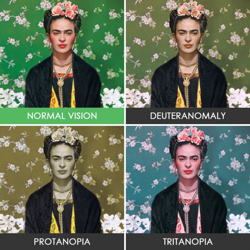 Cómo ven el mundo las personas con daltonismo Cómo ven el mundo las personas con daltonismo