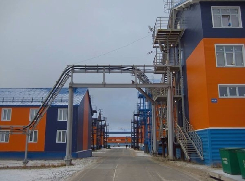 ¿Cómo vive el asentamiento de turno cerrado Sabetta en el Extremo Norte