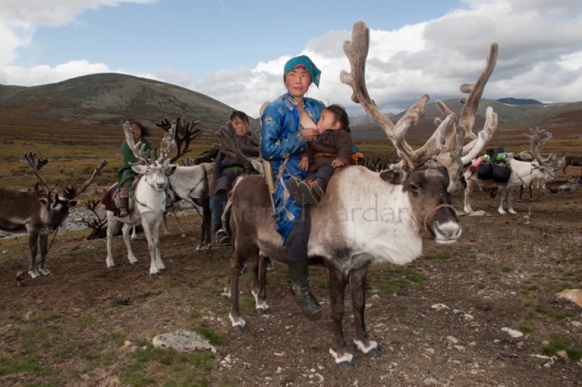 Cómo vivir en peligro de extinción, de la tribu de pastores de renos de Mongolia