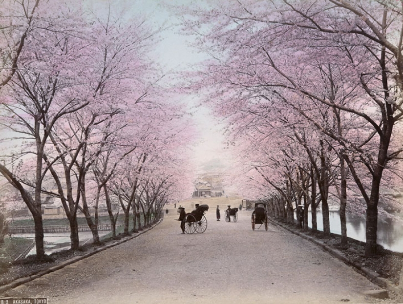 Colors of Japan XIX century through the eyes of American photographer