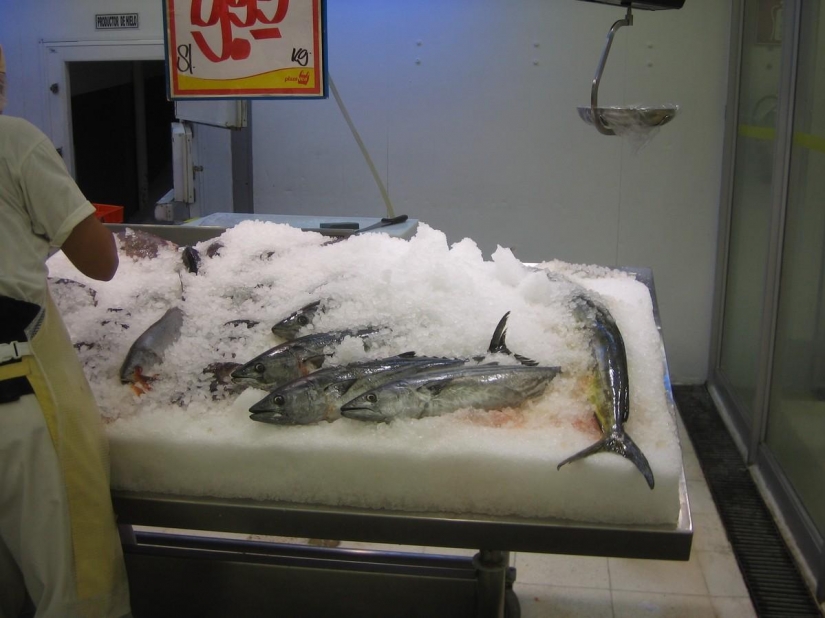 Como en diferentes países del mundo están luchando con una resaca Como en diferentes países del mundo están luchando con una resaca