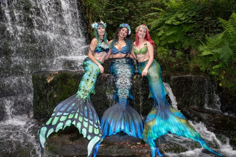 Como un pez en el agua: las sirenas profesionales regresan a los acuarios después de la cuarentena