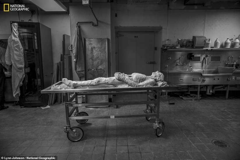 "Congelar y cortar mi cuerpo" : una anciana legada para cortar y digitalizar su cadáver "Congelar y cortar mi cuerpo" : una anciana legada para cortar y digitalizar su cadáver