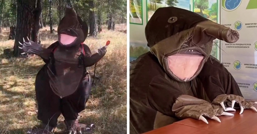 Conoce a la rata almizclera Khokhulya-mascota del Ministerio de la Naturaleza de Kaluga Conoce a la rata almizclera Khokhulya-mascota del Ministerio de la Naturaleza de Kaluga