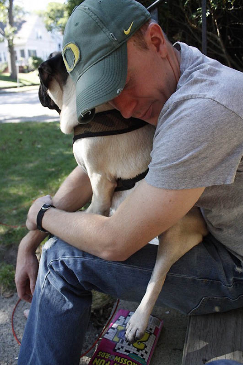 Consejos de vida de Murphy el perro