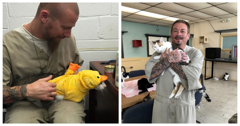 Convicts and kotans: a new prisoner rehabilitation program has been launched in the States