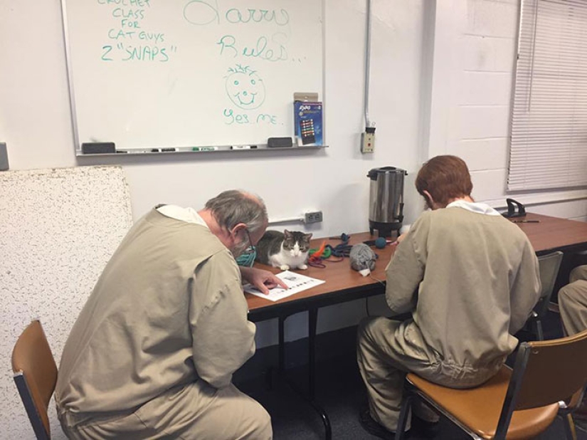 Convicts and kotans: a new prisoner rehabilitation program has been launched in the States