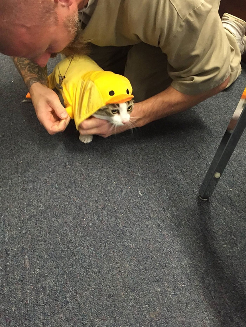 Convicts and kotans: a new prisoner rehabilitation program has been launched in the States