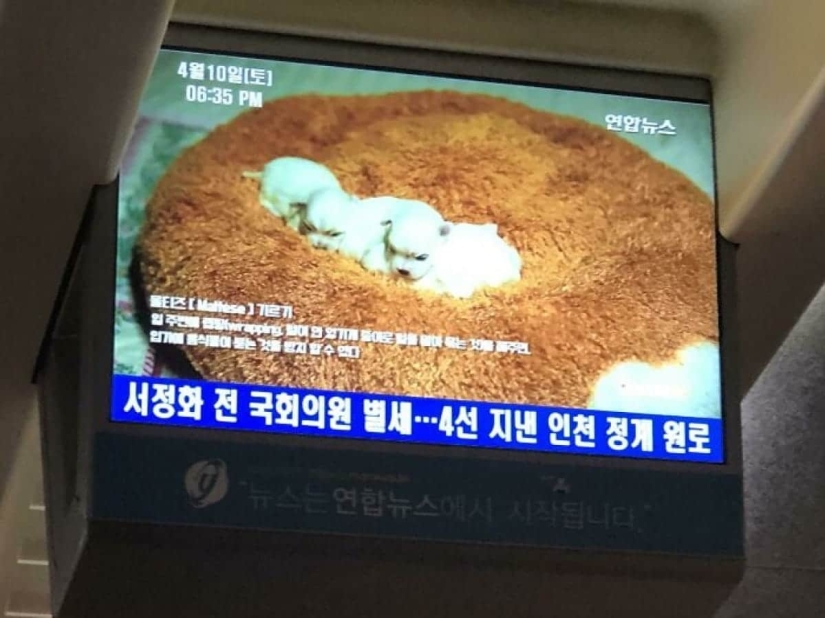 Corea del Sur es un mundo completamente diferente, y aquí hay 22 fotos que lo demuestran