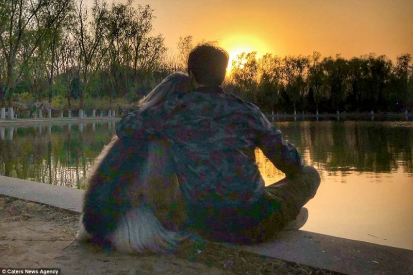 Cuando un perro tiene un mejor peinado que tú: un hombre chino gasta miles de dólares en cuidar el pelo de su mascota