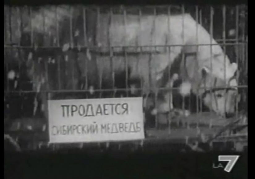 ¿Cuál es su evidencia: Oh, este idioma ruso en las películas del Oeste