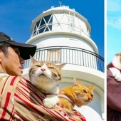 Daikichi and Fuku-Chan are cats that travel with their owner