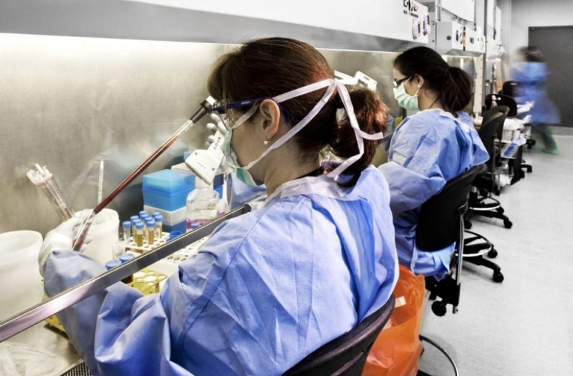 Deadly treats, or prefer to remain silent producers