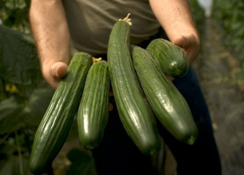 Deadly treats, or prefer to remain silent producers