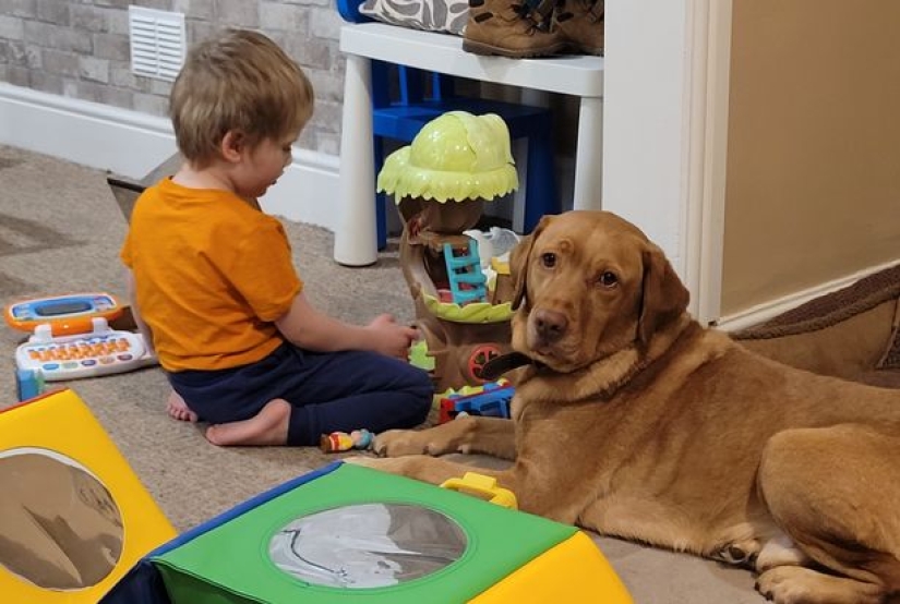 Debido a una enfermedad rara, un bebé de Gran Bretaña se comió la mitad de la cama y algo más Debido a una enfermedad rara, un bebé de Gran Bretaña se comió la mitad de la cama y algo más
