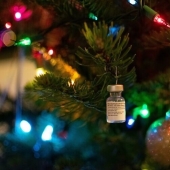 Decorate the house for the New year: 30 creative ideas