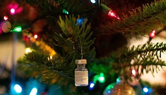 Decorate the house for the New year: 30 creative ideas Decorate the house for the New year: 30 creative ideas