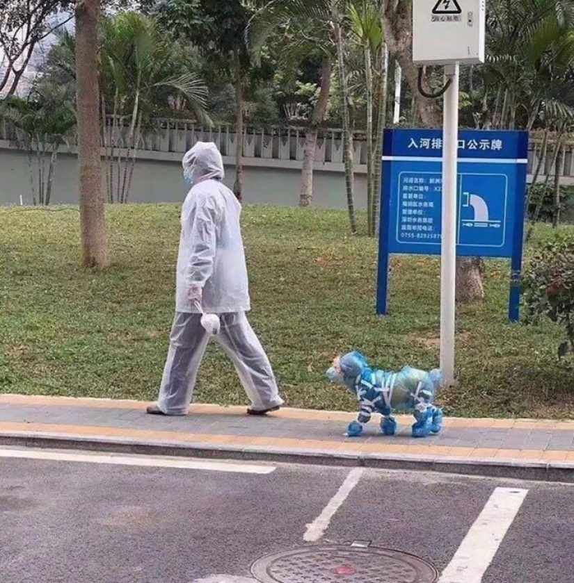 Defendernos de la mejor manera: destructivos y ridícula métodos de protección contra el coronavirus Defendernos de la mejor manera: destructivos y ridícula métodos de protección contra el coronavirus