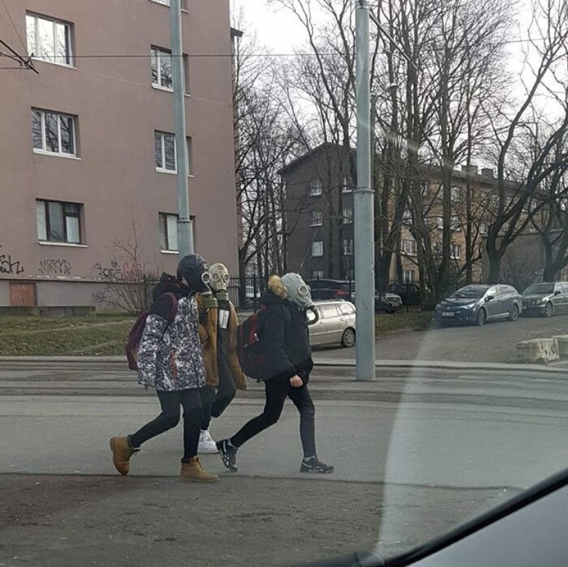 Defendernos de la mejor manera: destructivos y ridícula métodos de protección contra el coronavirus Defendernos de la mejor manera: destructivos y ridícula métodos de protección contra el coronavirus