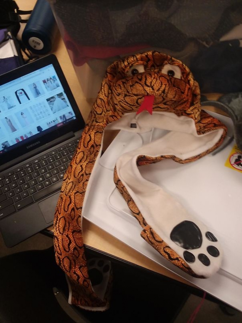 Designer Fails Designer Fails