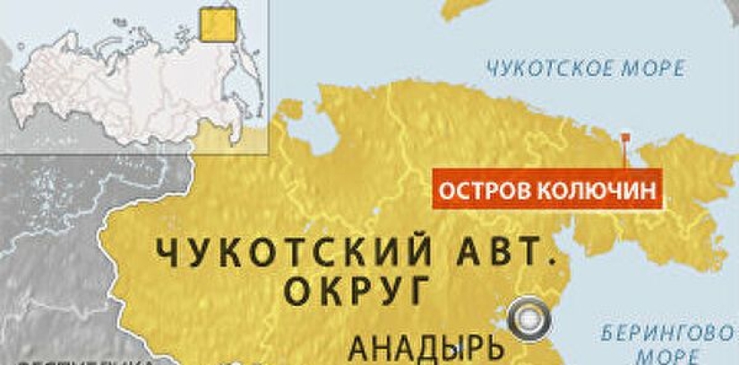 Desperate photographer took polar bears, keepers of an abandoned polar station