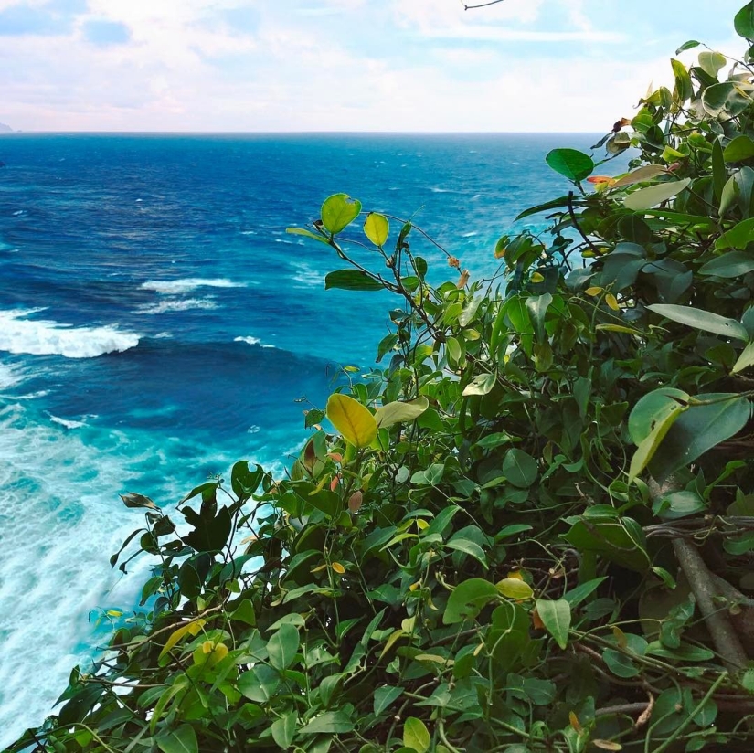 Diagonal Sergey Minkin: el mundo a través de los ojos del diseñador de Yandex, que consta de dos partes