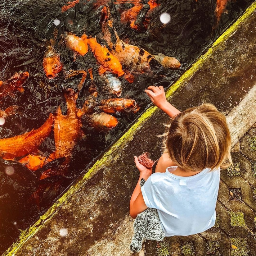 Diagonal Sergey Minkin: el mundo a través de los ojos del diseñador de Yandex, que consta de dos partes