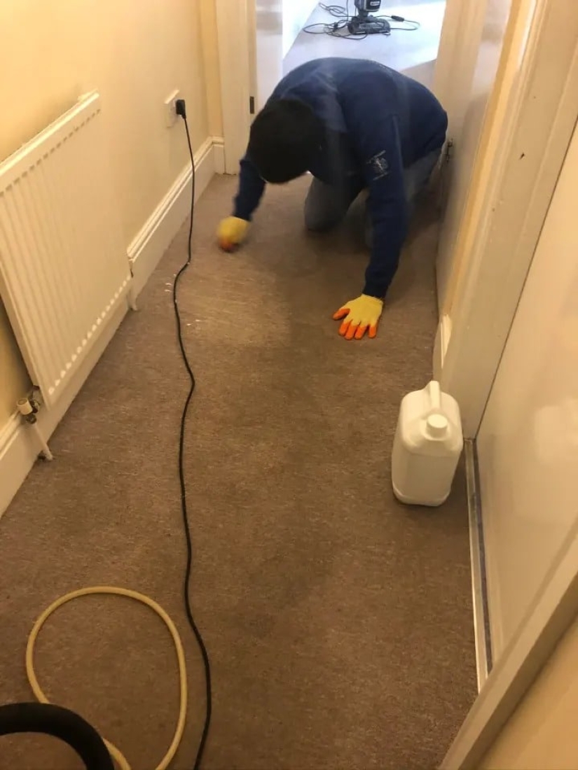 Dirty business: A British woman quit her job at a bank and became a crime scene cleaner