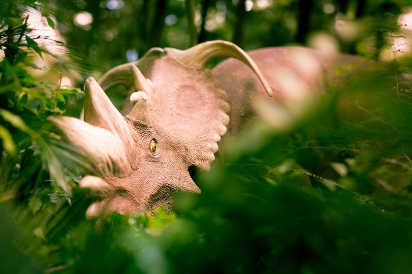 Disneyland es un mundo mágico donde los adultos se convierten en niños
