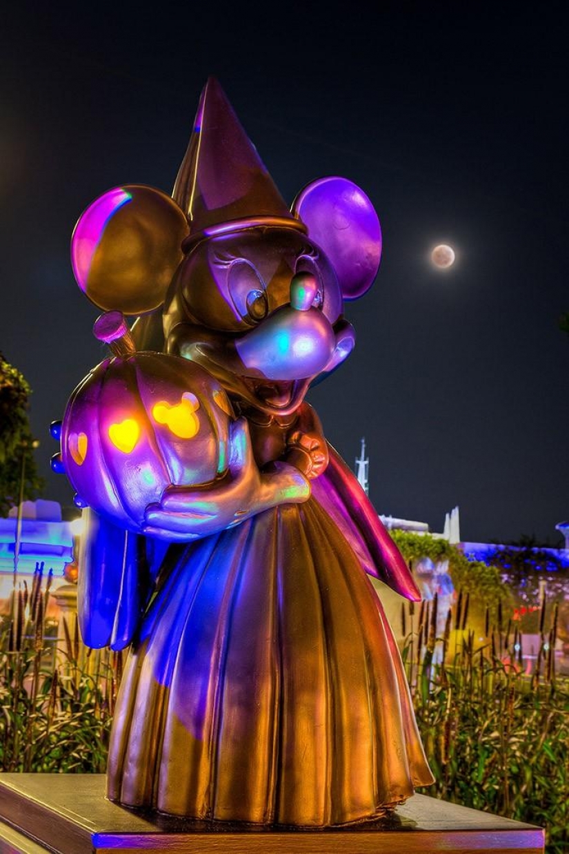 Disneyland is a magical world where adults turn into children