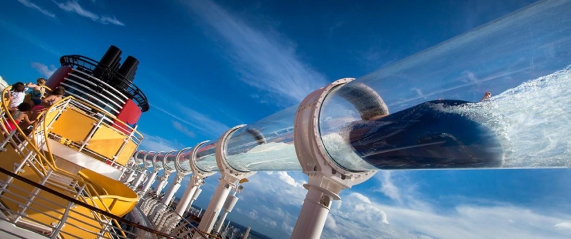 Disneyland is a magical world where adults turn into children