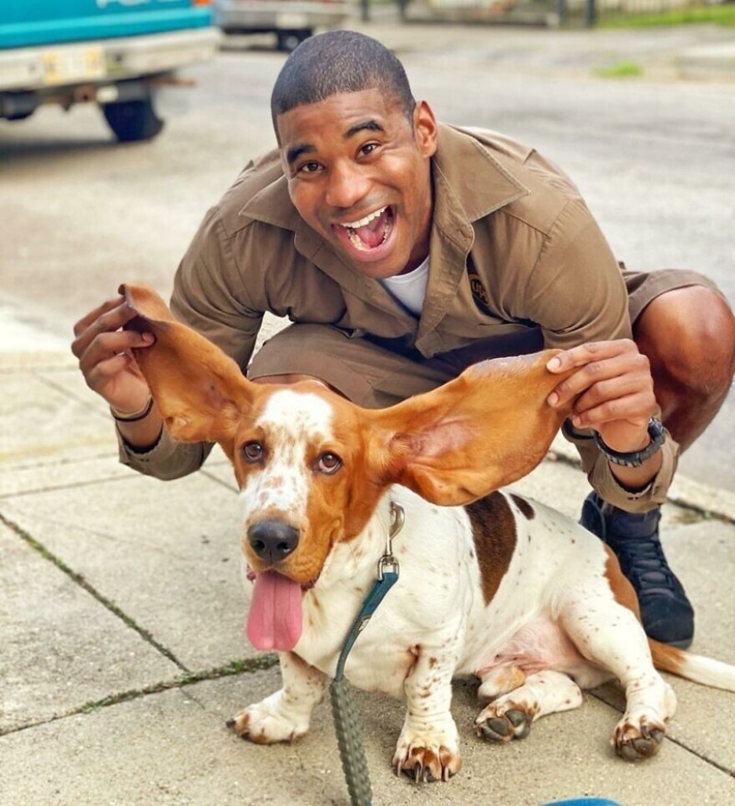 Divertido courier fotografiado con cada perro que cumple Divertido courier fotografiado con cada perro que cumple