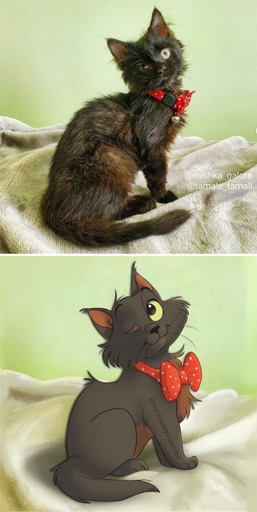 Dutch artist turns animals into Disney characters