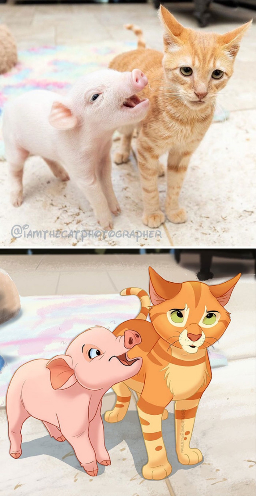 Dutch artist turns animals into Disney characters