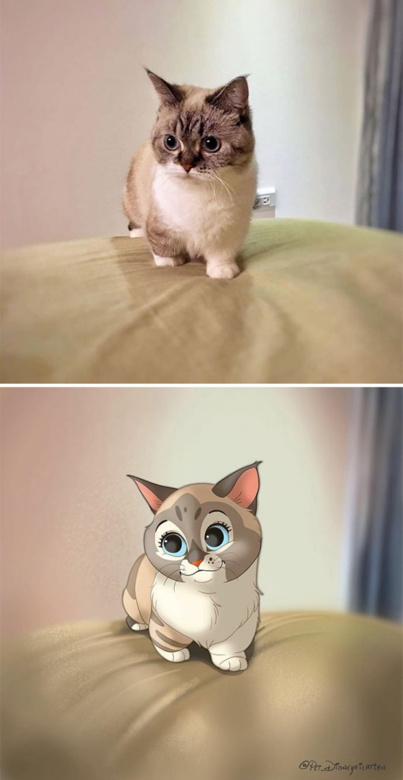 Dutch artist turns animals into Disney characters