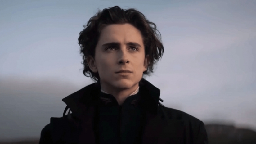 El actor Timothy Chalamet es un nuevo e inteligente símbolo sexual de la modernidad