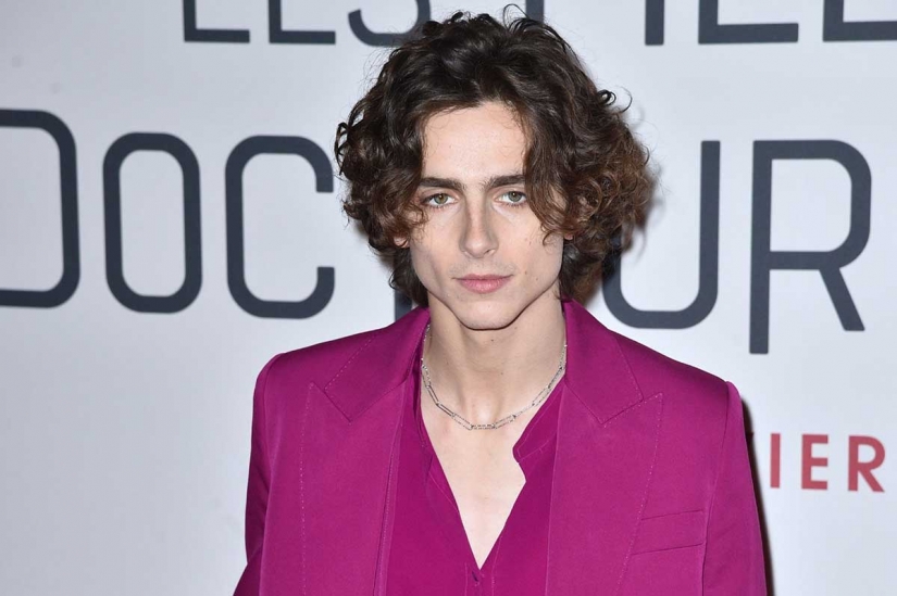 El actor Timothy Chalamet es un nuevo e inteligente símbolo sexual de la modernidad